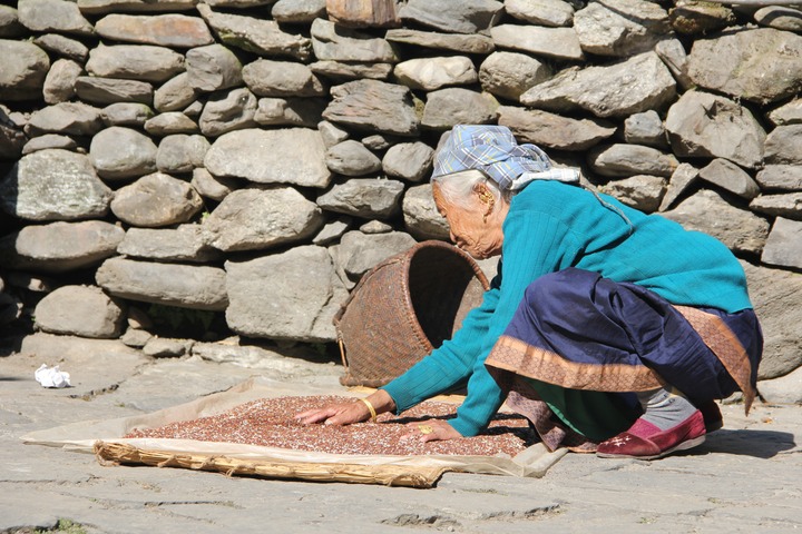 Drying grain