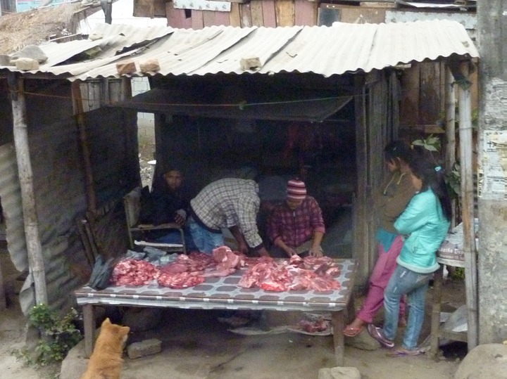 Well trained dog at the meat shop