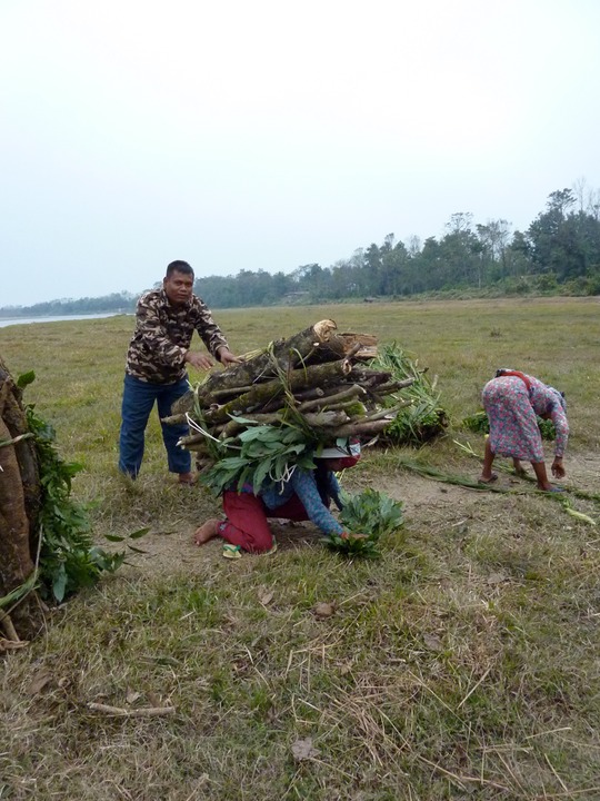 Taking wood to the village