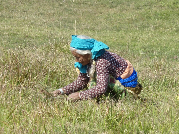 Picking something in a field